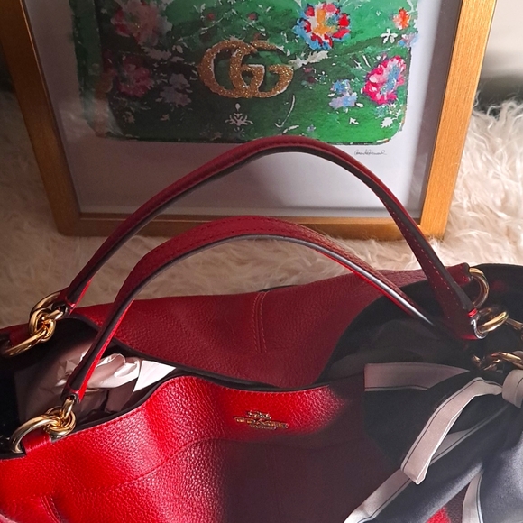 Coach Red Lexy Crossbody Bag - Picture 5 of 14